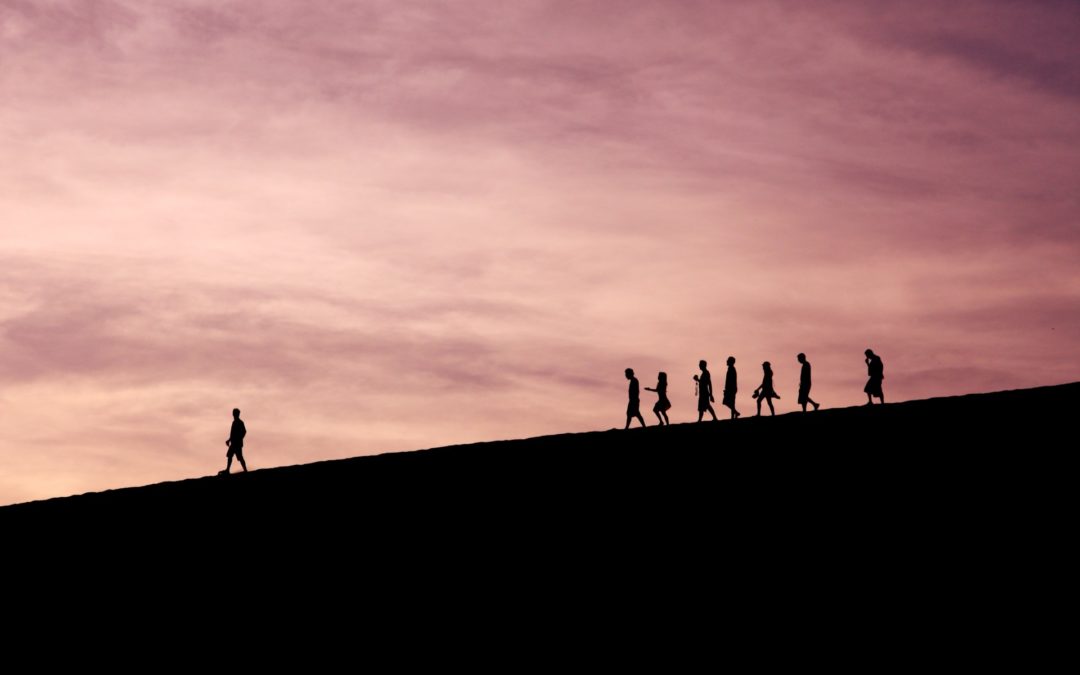 Being An Adaptive Leader
